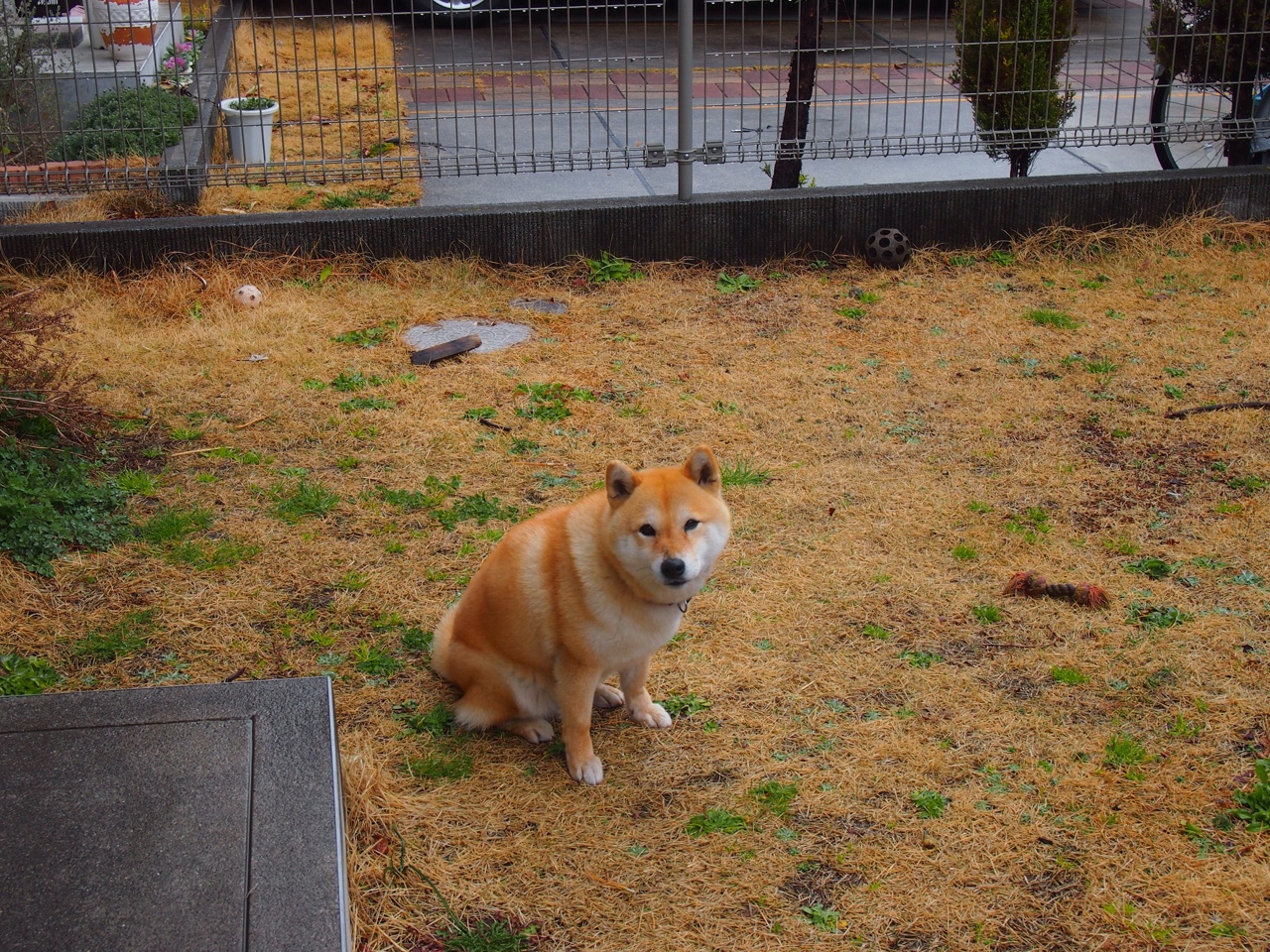 热身赛与热状态，足球世界的温差与共鸣