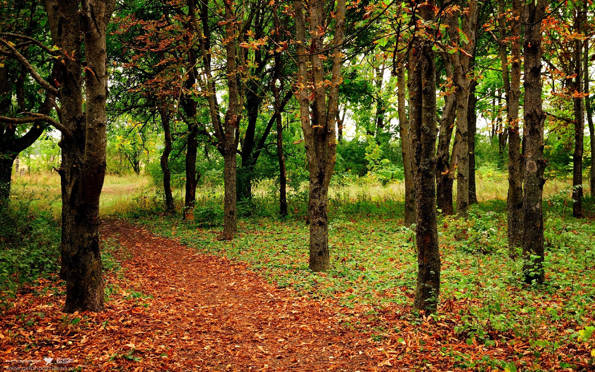 命运齿轮，一场英超焦点战与一枚跨洋压哨球