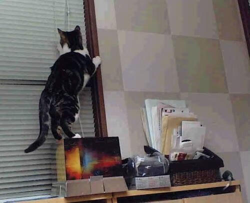 三分雨浇灭山西反扑！贝恩单节15分奠定胜局