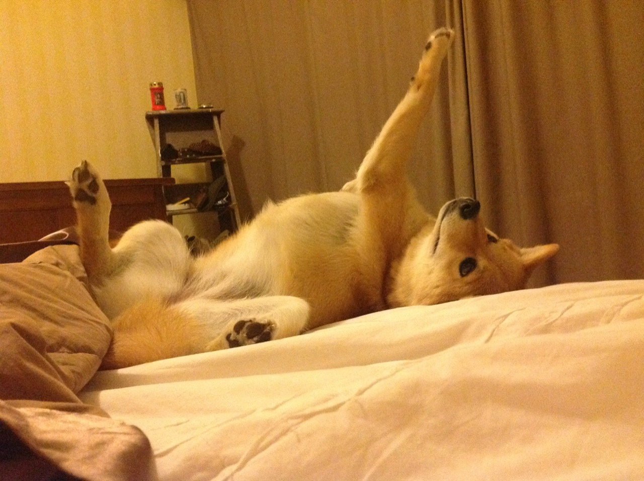 掌控风暴，保罗雷霆时刻的完美指挥