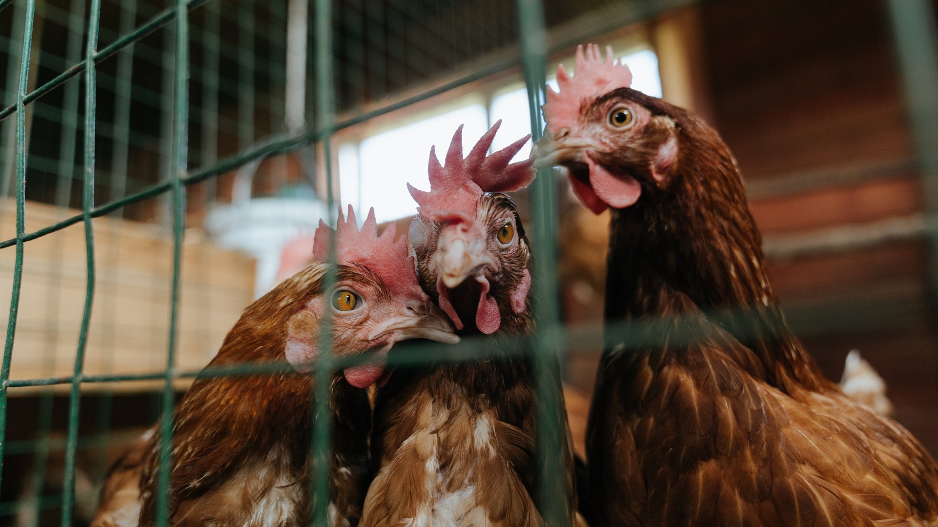 绿茵场上的超神局，比利亚雷亚尔加时鏖战破瑞典，内马尔稳定输出不掉线