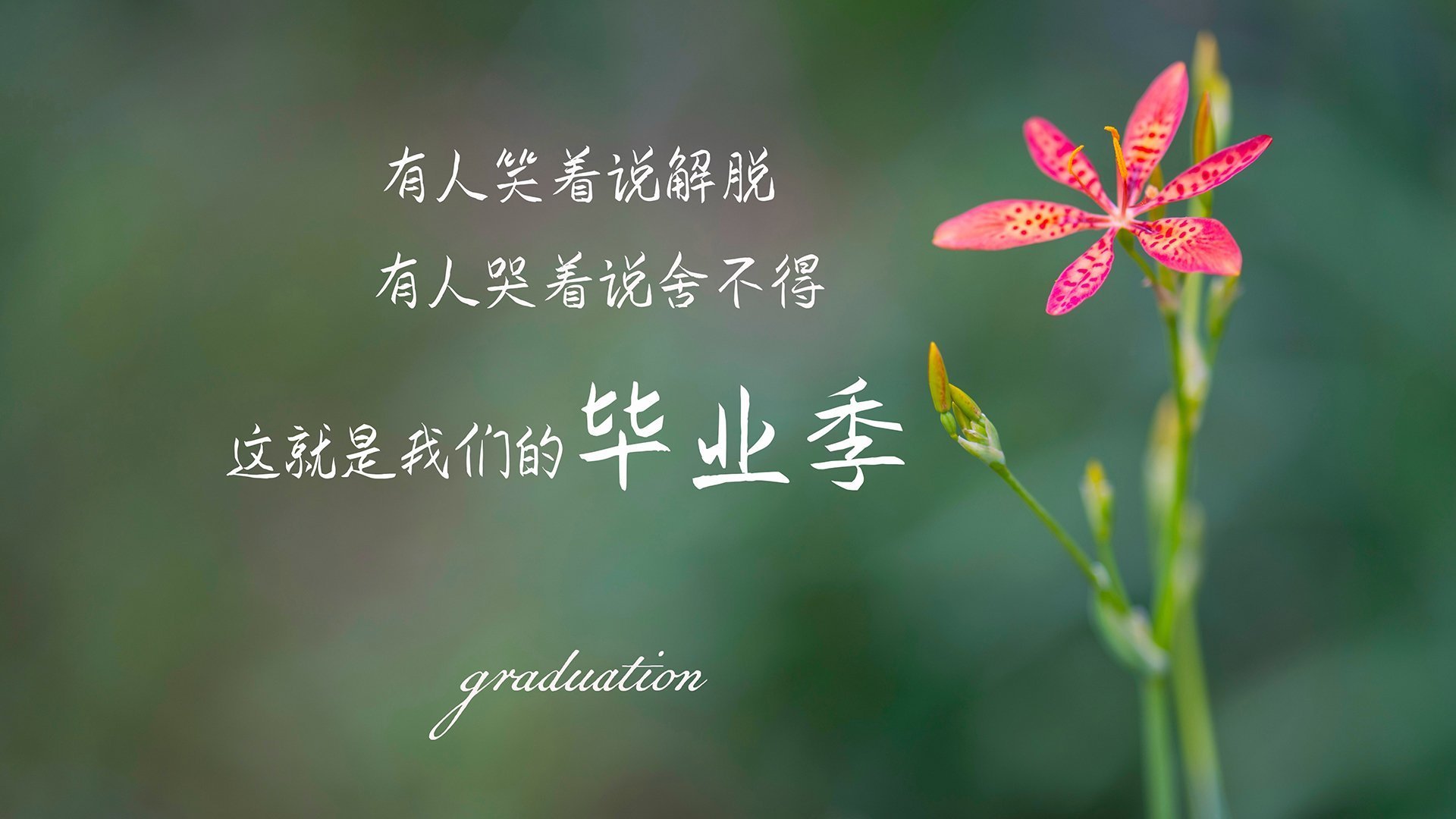 44分钟璀璨,1秒封喉,当布克的史诗之夜撞上火箭的上帝一秒