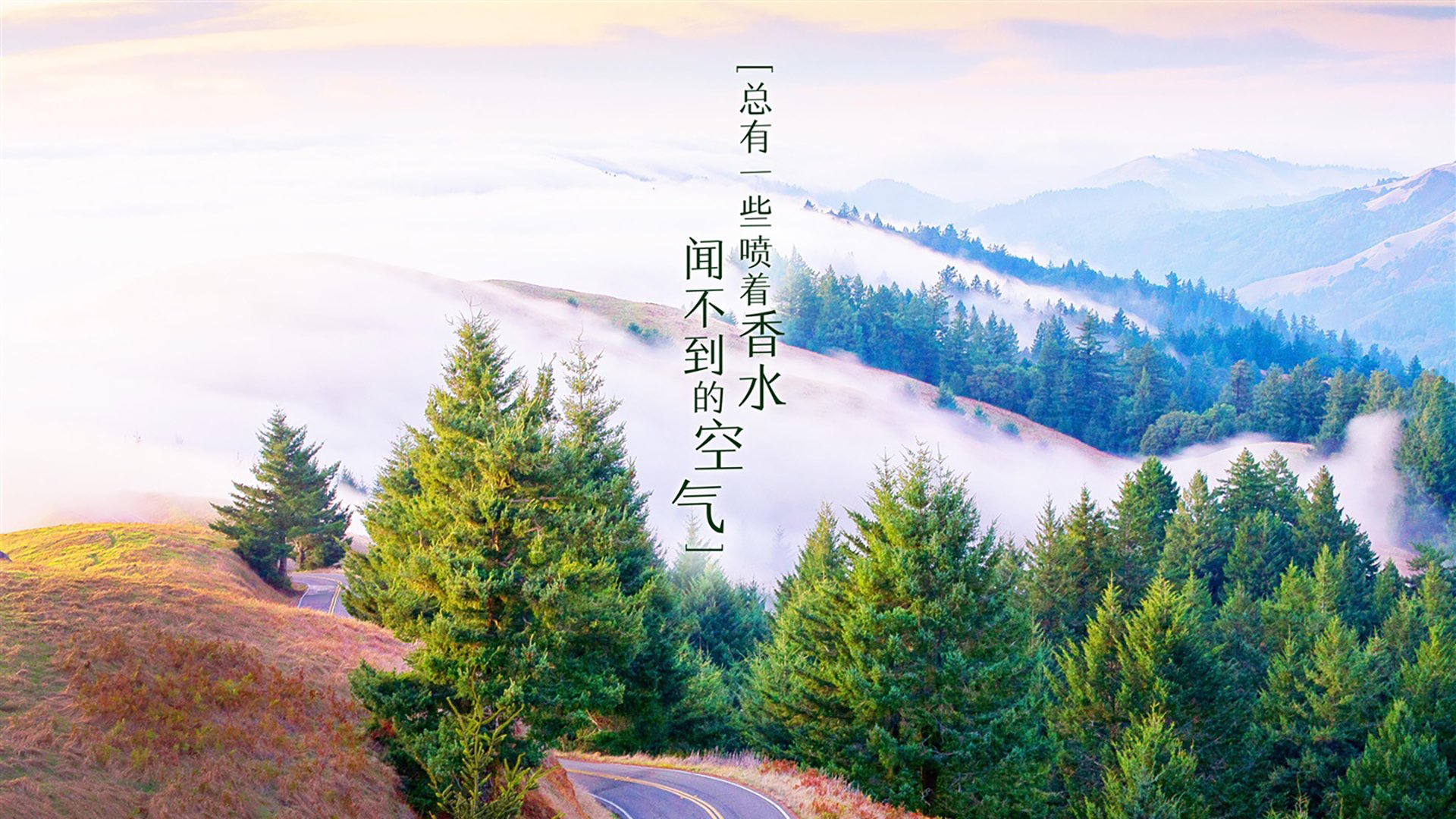 勇士轻取黄蜂,伦纳德封锁式防守定乾坤,一场攻防两极的华丽演绎