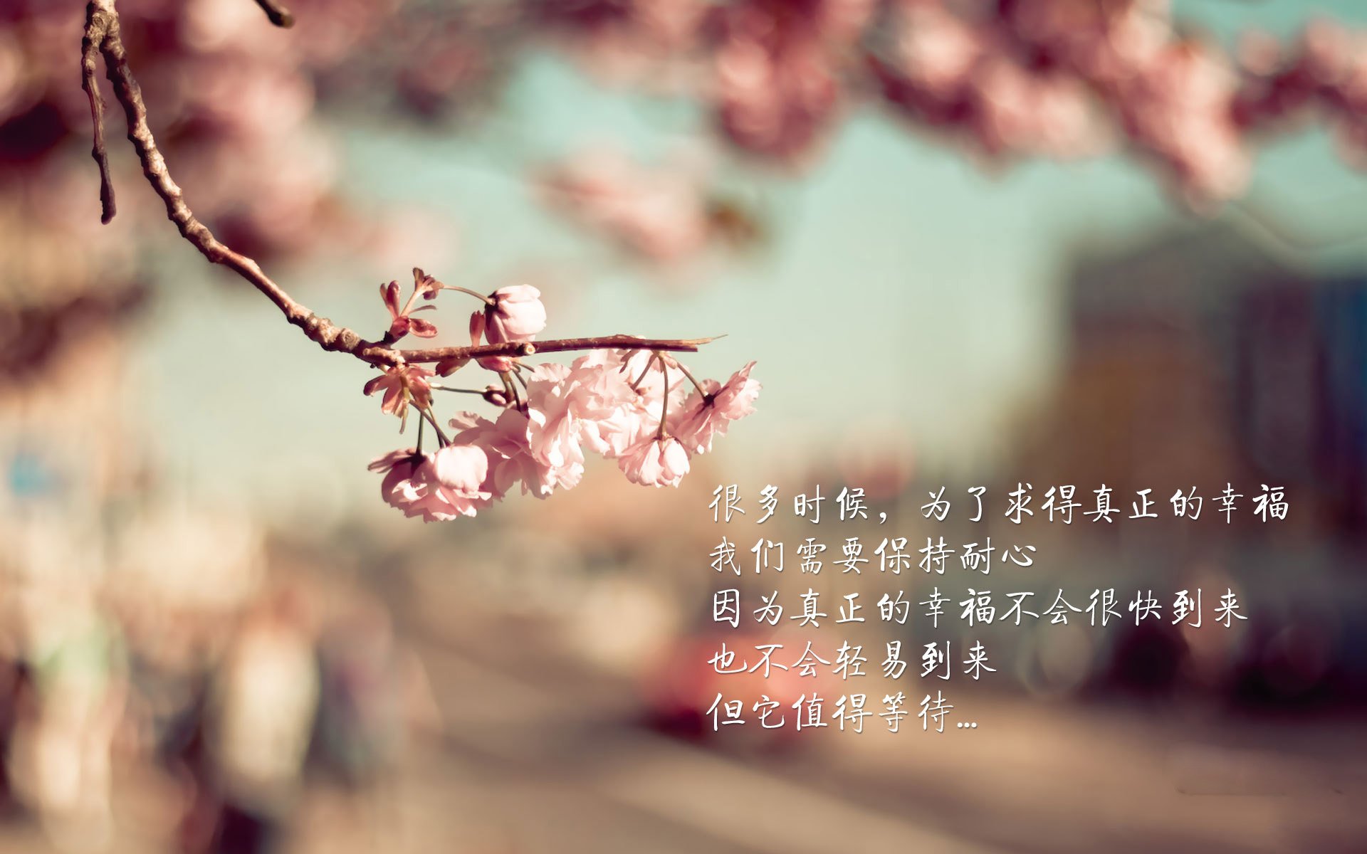 团队洪流与个人巨浪，季后赛中的两套权力剧本