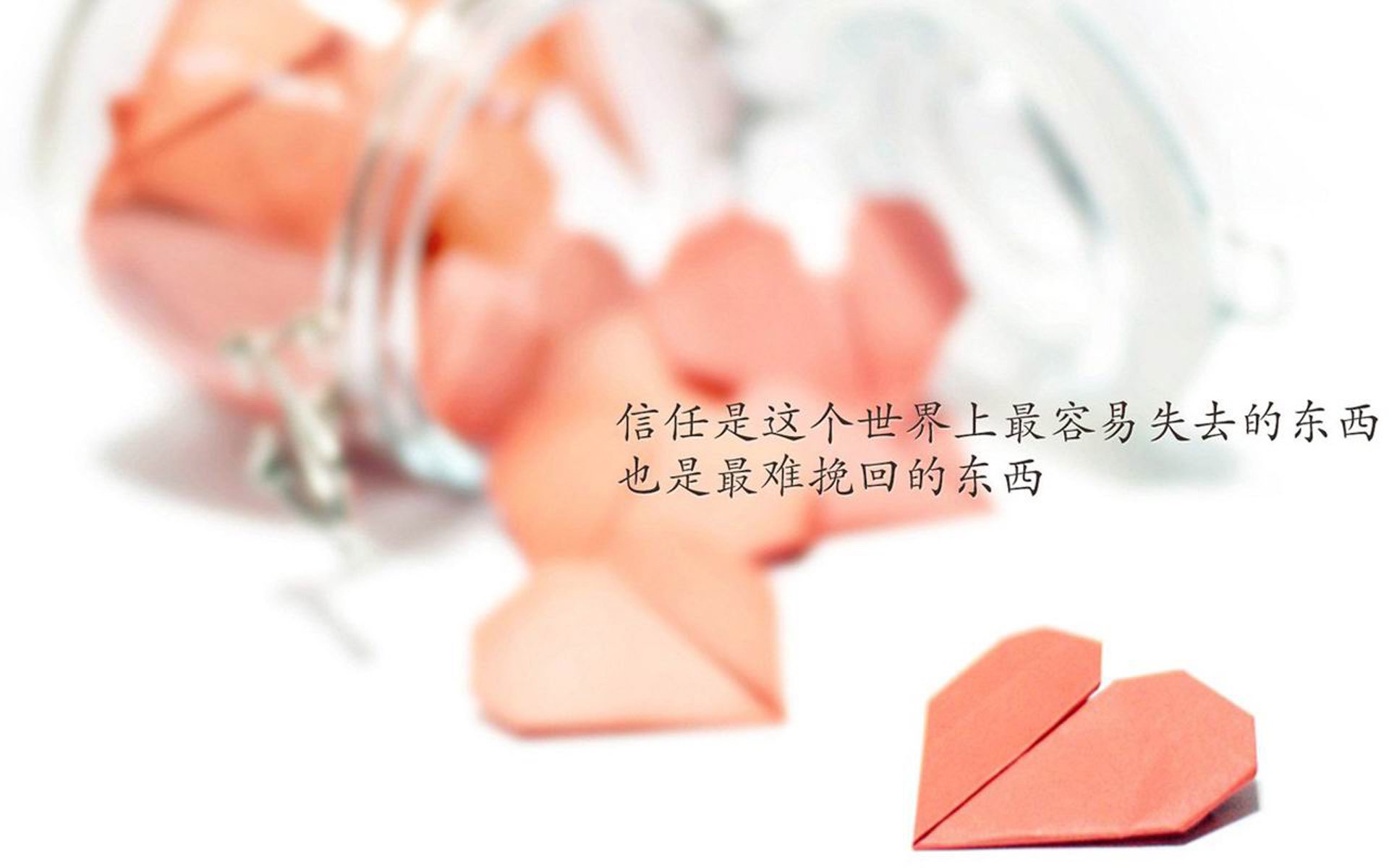 中场魔术师,哈基米导演2026世界杯A组最冷逆袭,印度掀翻乌拉圭神话