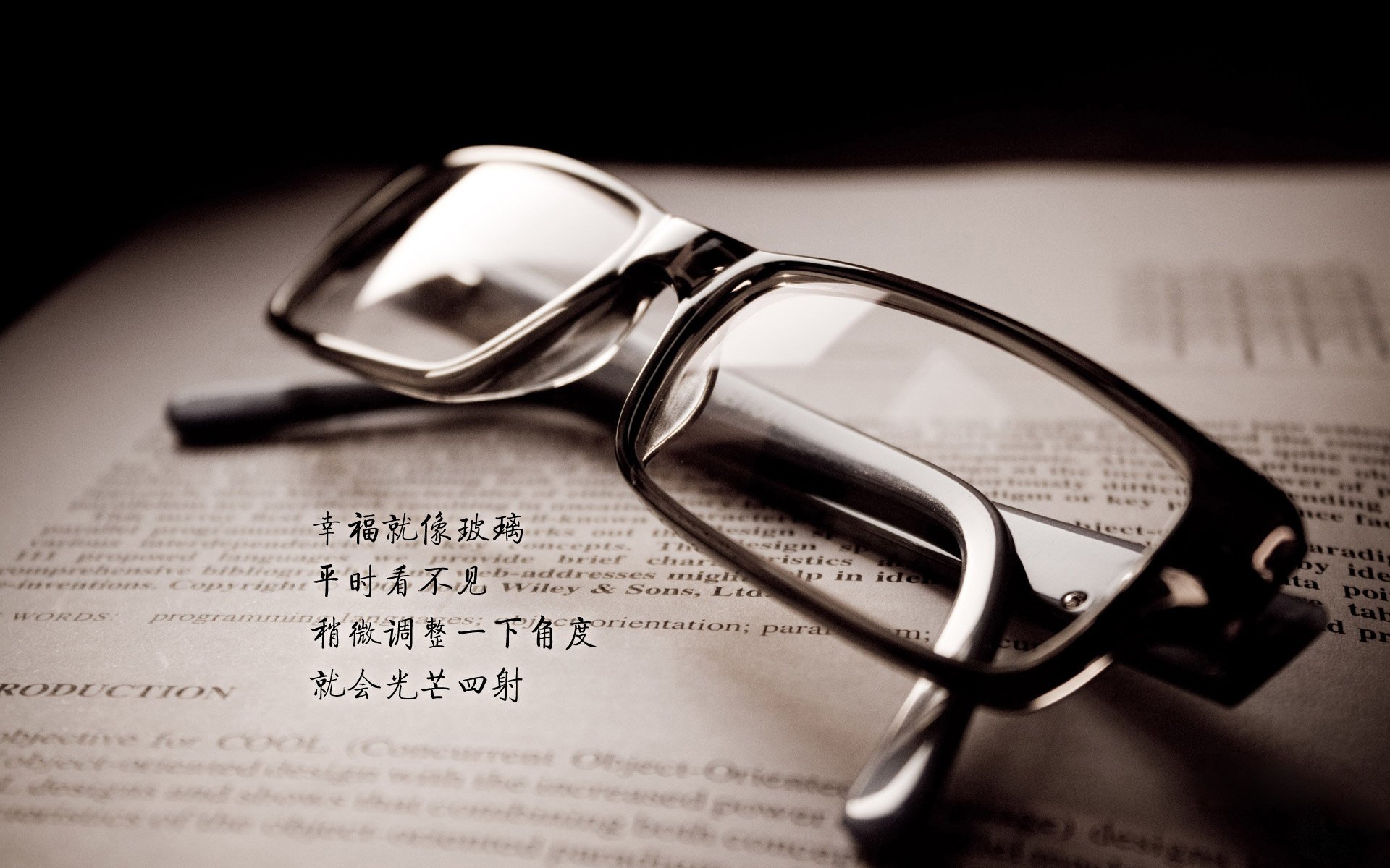 弑神者凯恩,在C罗的阴影与厄瓜多尔的火焰中,铸就世界杯唯一的历史悖论
