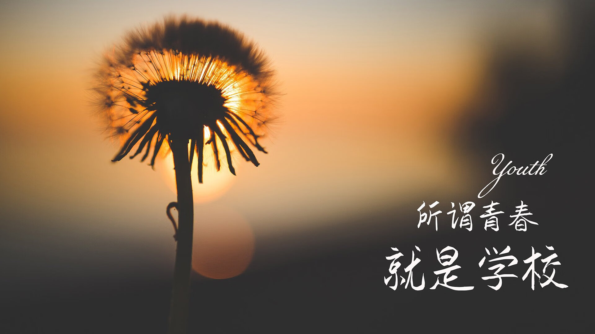 曼谷奇迹,2026世界杯D组焦点战,泰国绝杀秘鲁,哈兰德独造三球却难阻命运