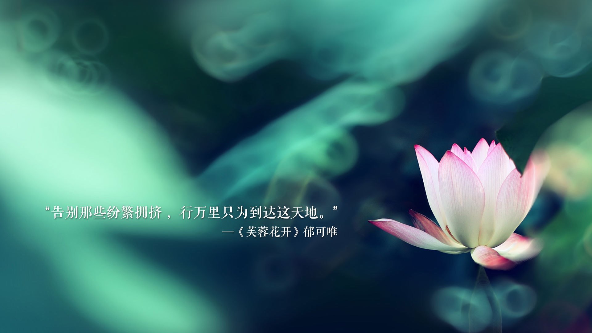 沙漠之盾的裂痕，当哈基米的华丽独舞，撞上越南的钢铁丛林