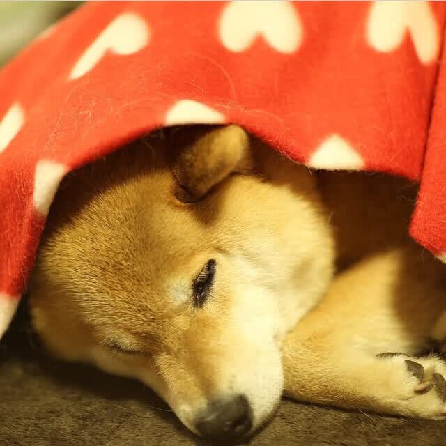 很有戏剧性。我来为你构思一篇兼具故事性与思维深度的文章