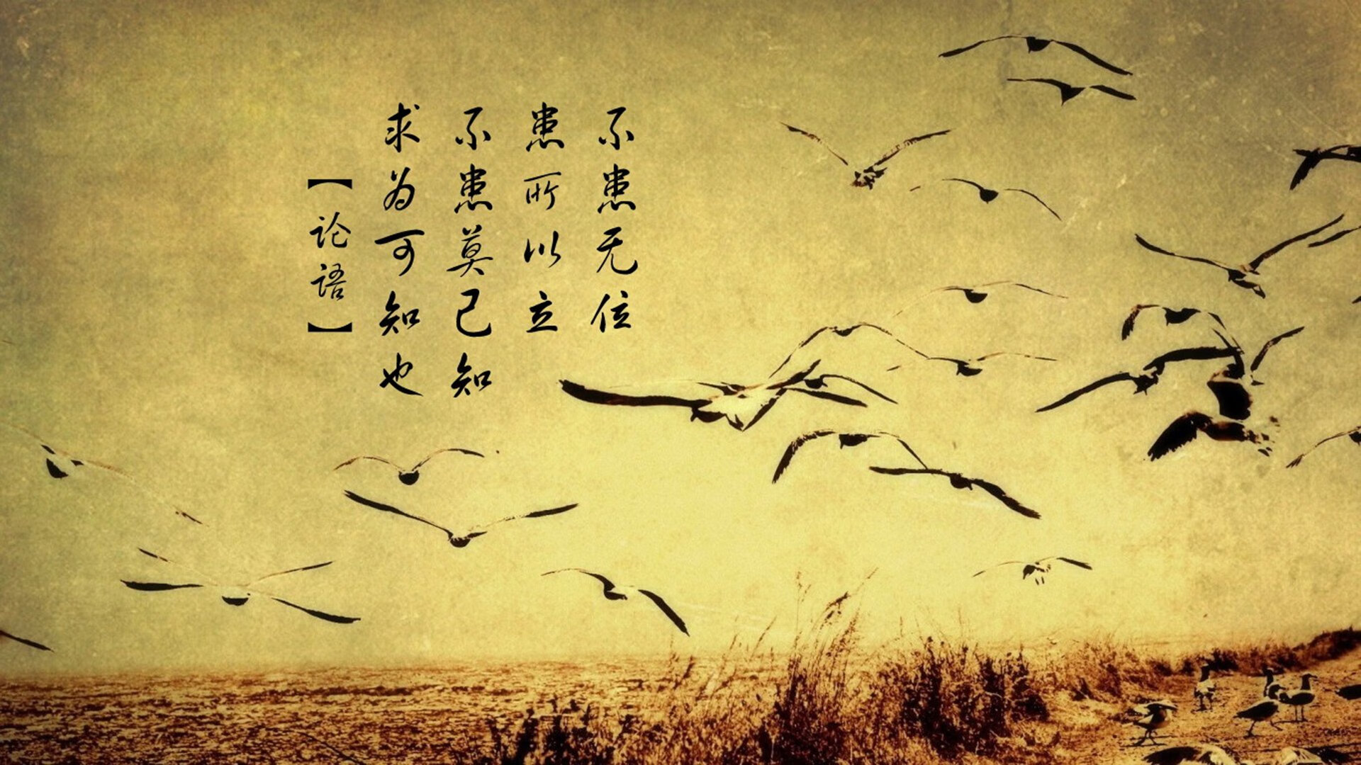 开云体育-北非雄鹰的崛起之翼，当哈基米在美加墨续写摩洛哥的未竟史诗